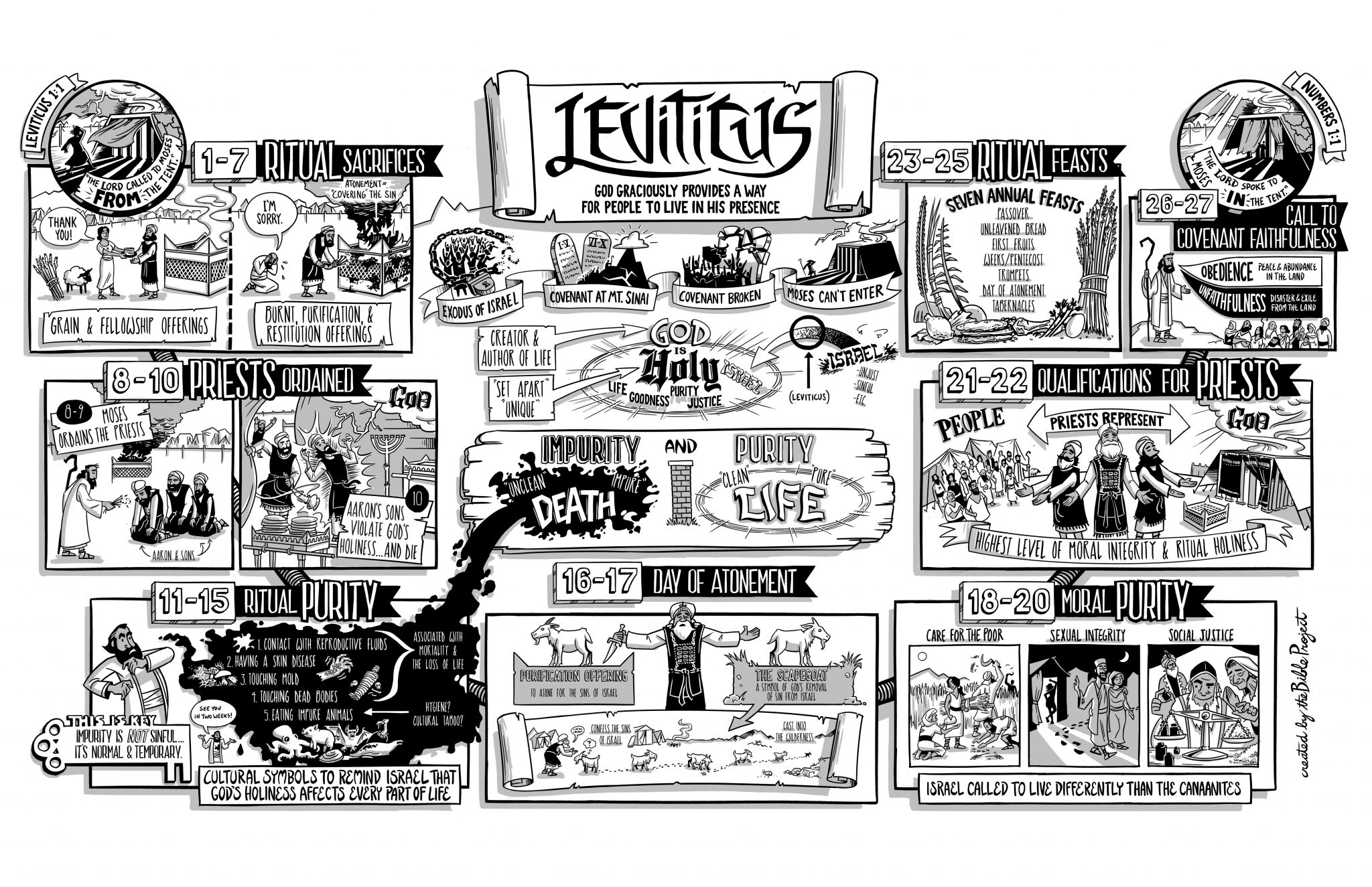 Levitical Sacrifices And Offerings Chart