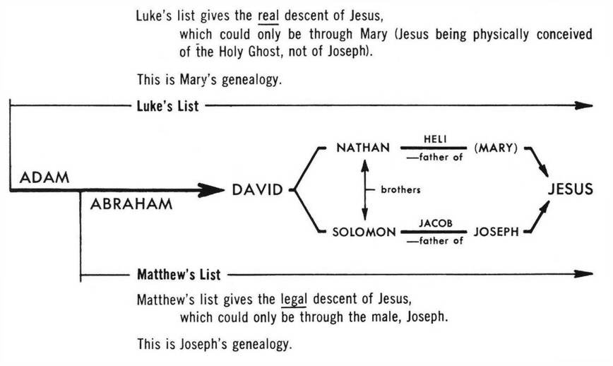 David Lineage Chart